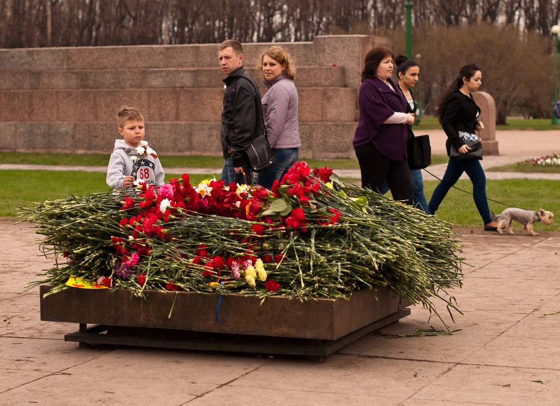 Вечный огонь... - Елизавета Вавилова