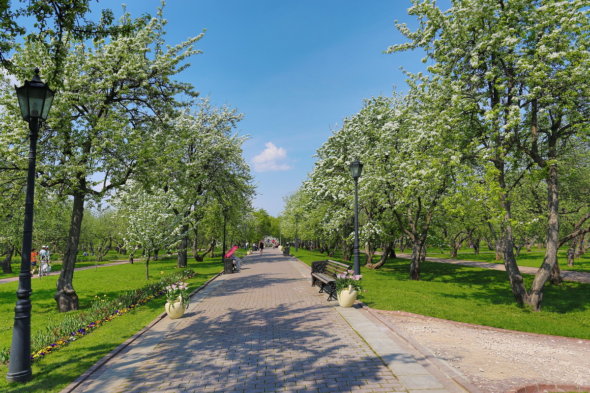 коломенское парк Москва 11,05,13 - юрий макаров