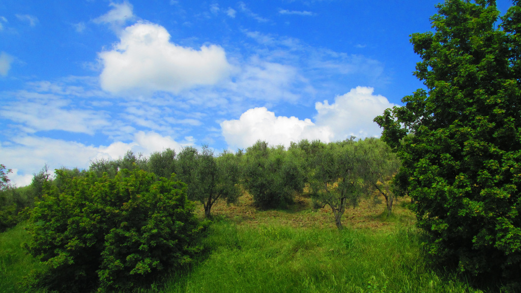 ТОСКАНА СЕГОДНЯ. TOSCANA, VINCI, OGGI, 12-05-2013 CON AMORE. С ЛЮБОВЬЮ...WITH LOVE !! - ira mashura