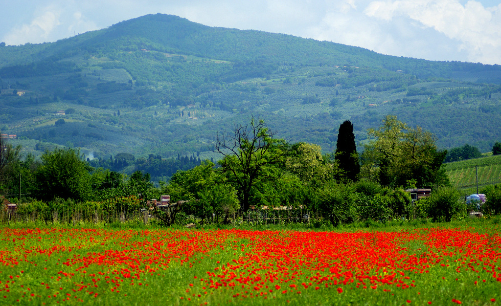 ТОСКАНА СЕГОДНЯ. TOSCANA, VINCI, OGGI, 12-05-2013 CON AMORE. С ЛЮБОВЬЮ...WITH LOVE !! - ira mashura