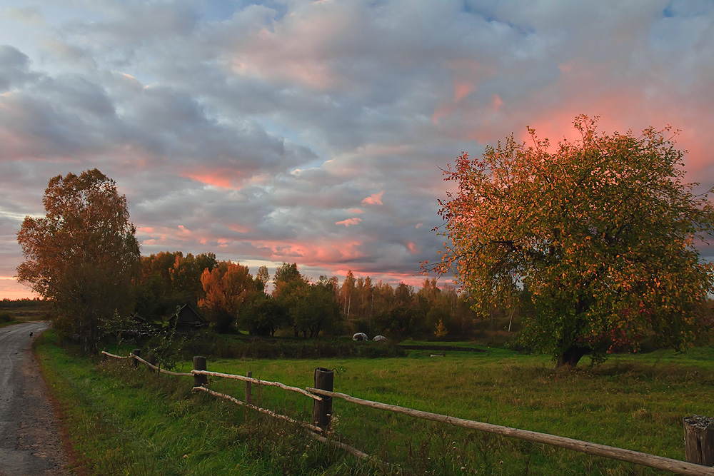 Розовый закат - Лариса Кайченкова