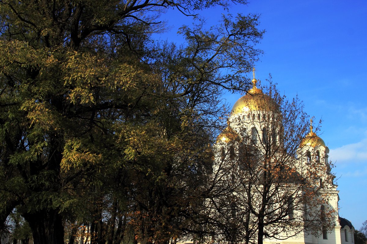 В гармонии - Леонид 