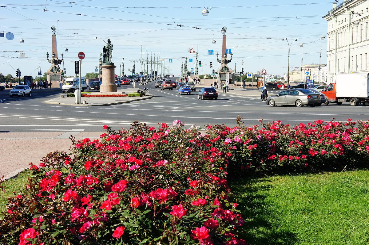 Троицкий мост. Суворовская площадь. Памятник Суворову - Елена Павлова (Смолова)