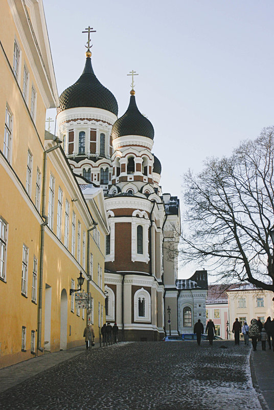 Tallinn - Дарина Михеева