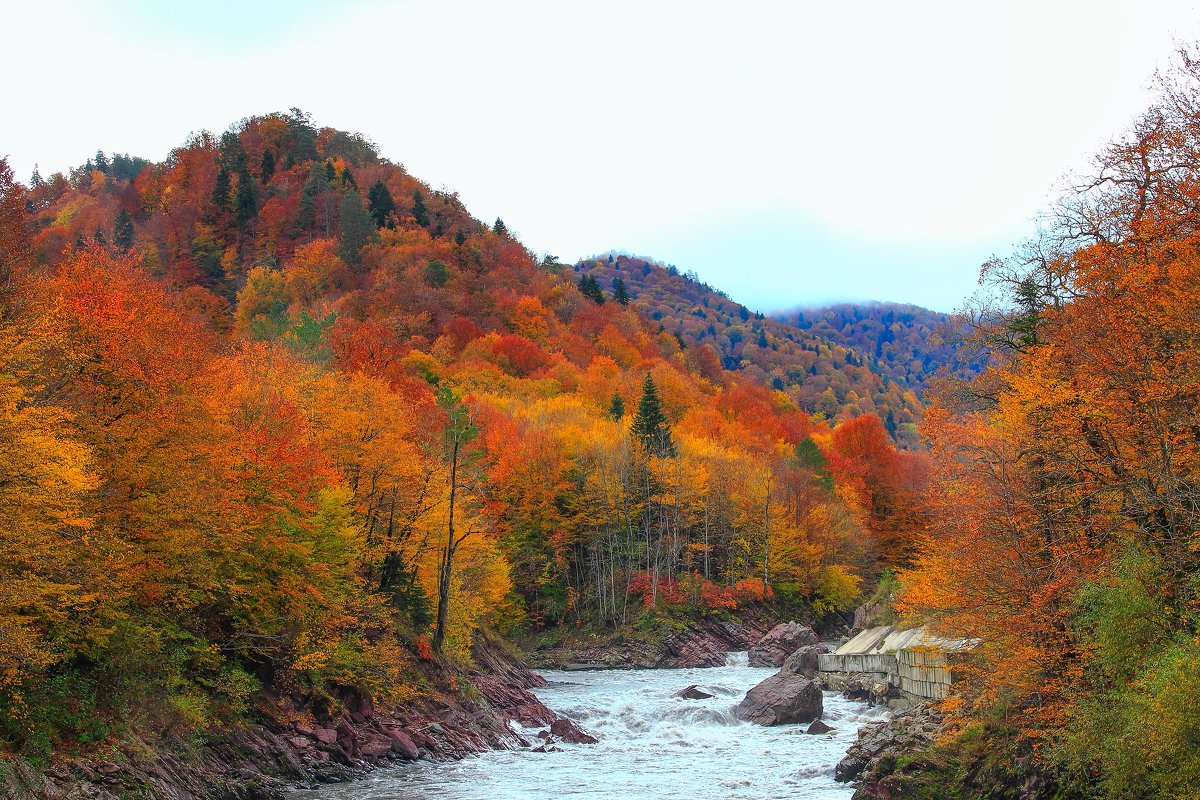 Осень на реках Адыгеи - Бронислав Богачевский