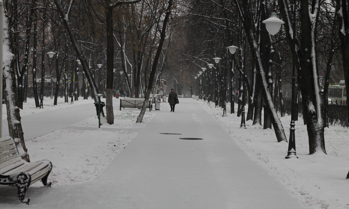 *** - Владимир  Зотов 