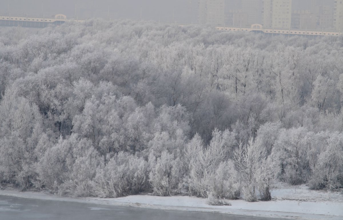 Омск-ноябрь - Savayr 