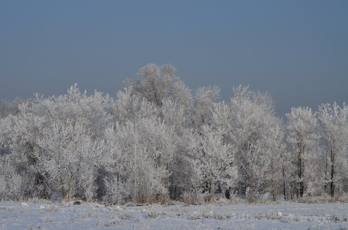 Омск-ноябрь - Savayr 