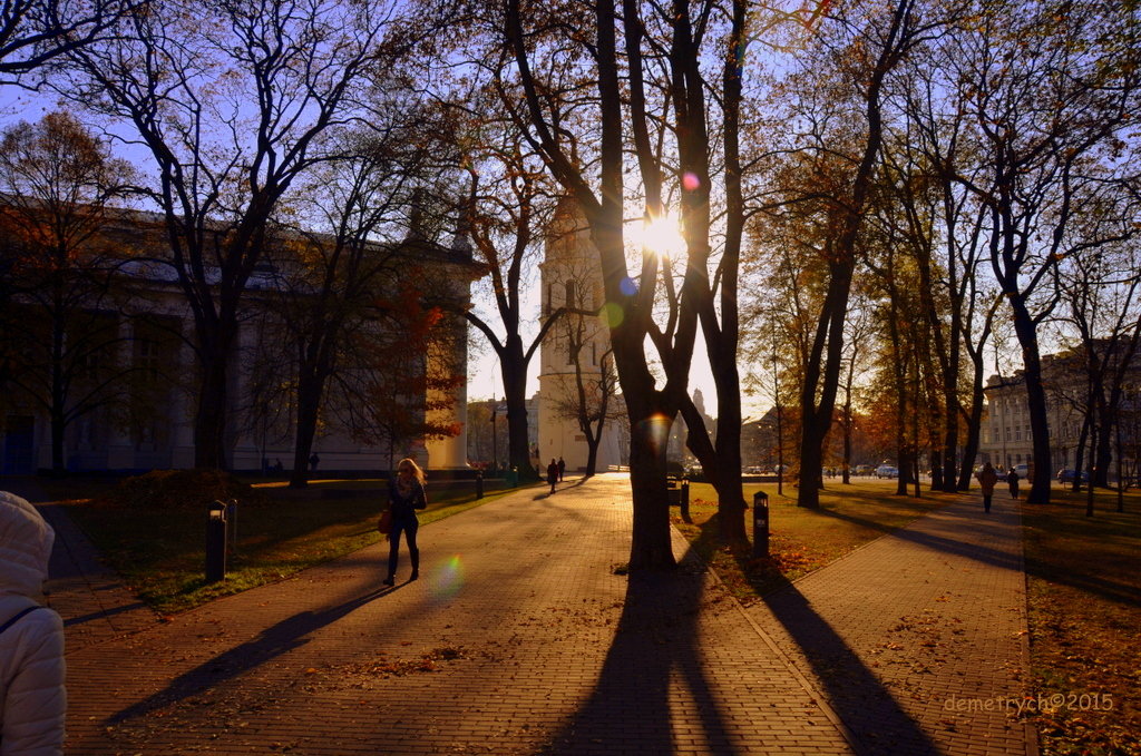 Солнечный день в парке - Dmitry Chudnovsky