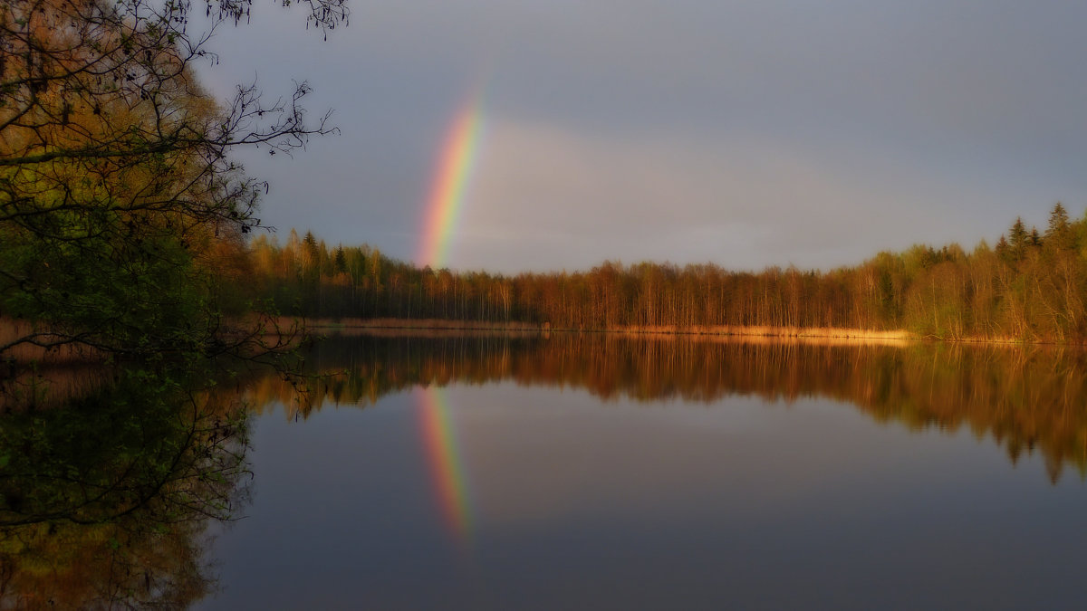 *** - Любовь 