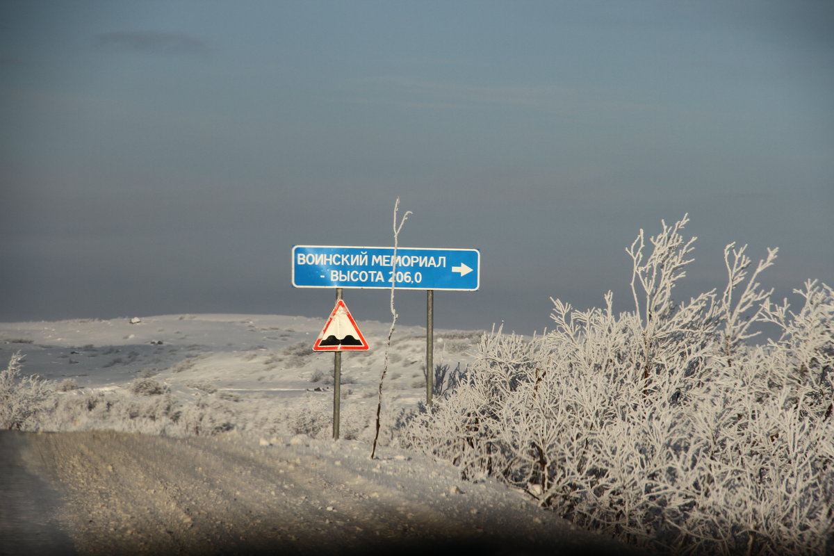 Дорога - Максим 