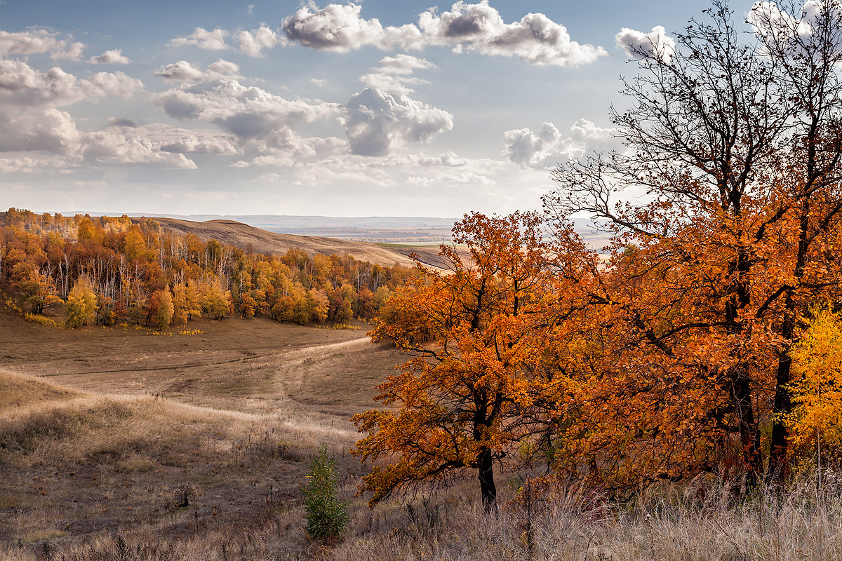 Осень - Марат Закиров