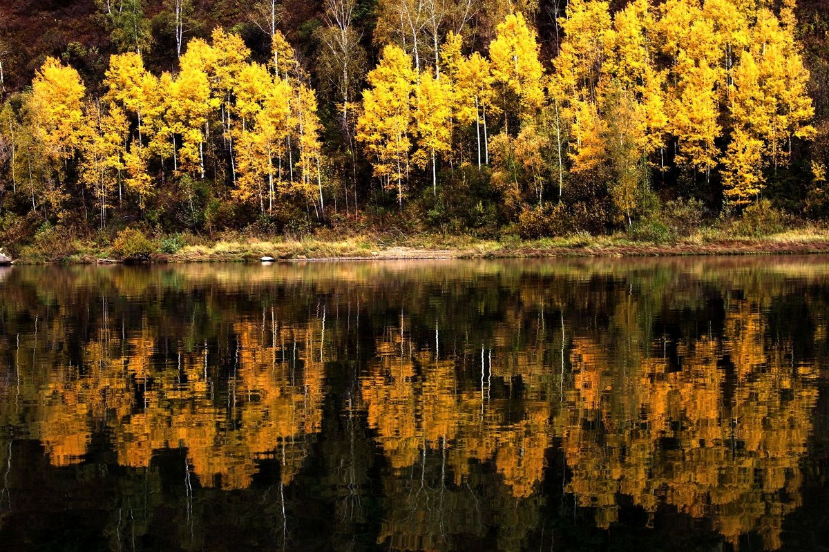 Осенние смотрины - Сергей Чиняев 