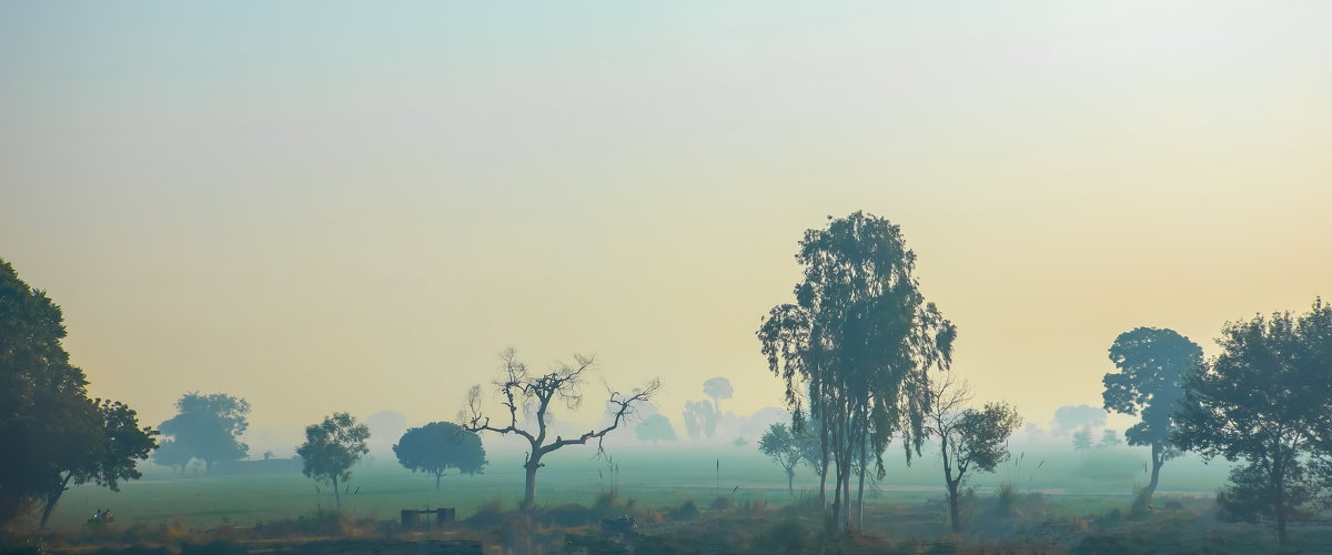 Индия типичный среднеиндийский пейзаж - юрий макаров