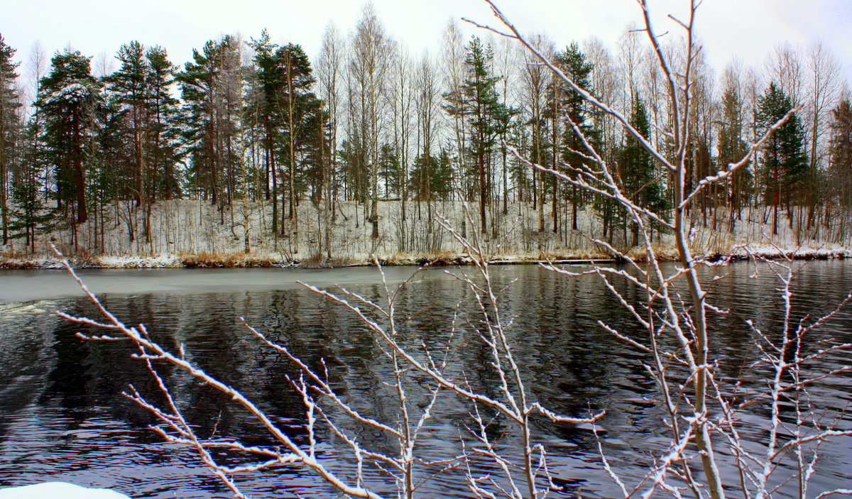 НОЯБРЬ В КАРЕЛИИ - Николай Гренков