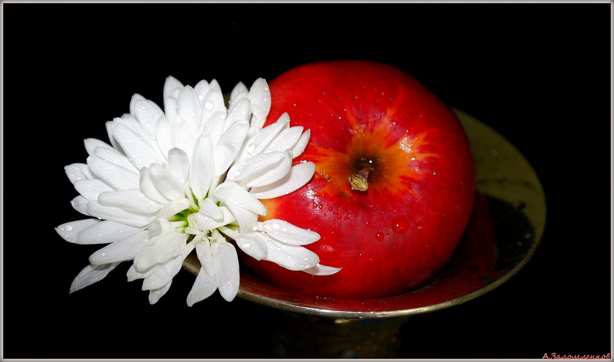 Цветок и яблок - Андрей Заломленков