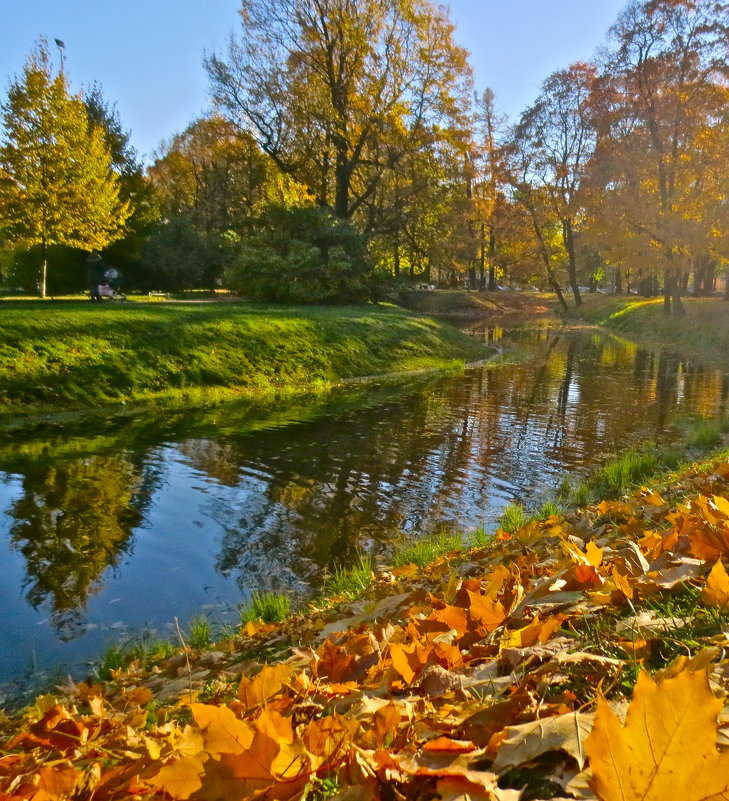 красавица осень - Елена 