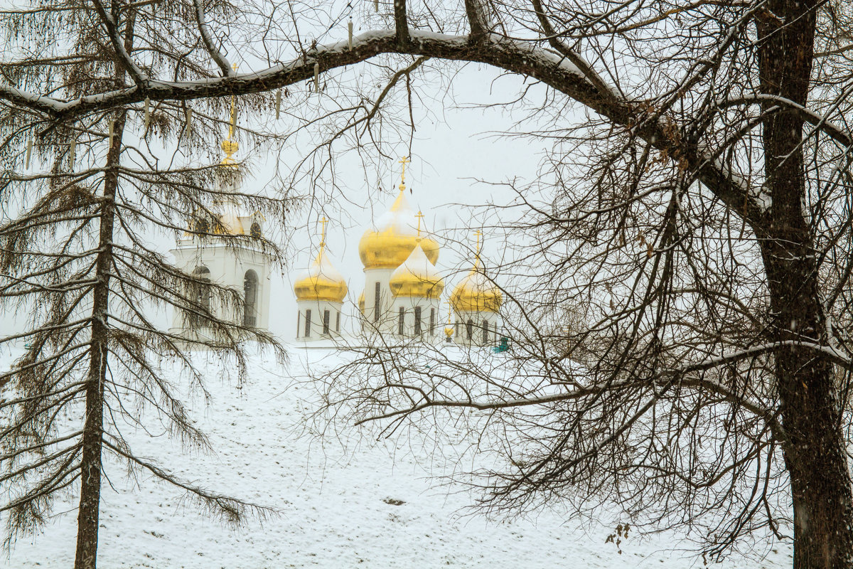 Успенский собор за пеленой снега. - Анатолий. Chesnavik.