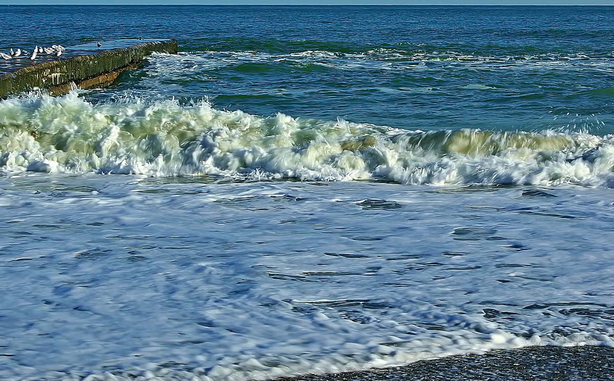 прогулки к морю - Александр Корчемный