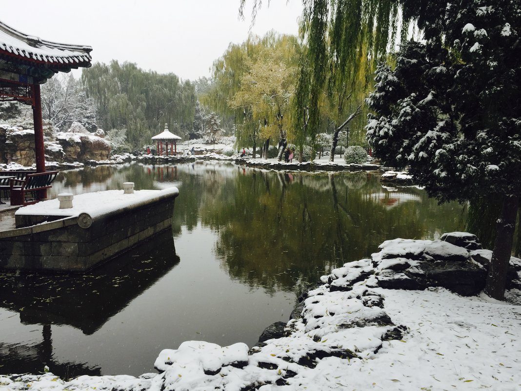 The first snow in Beijing - Shiva 