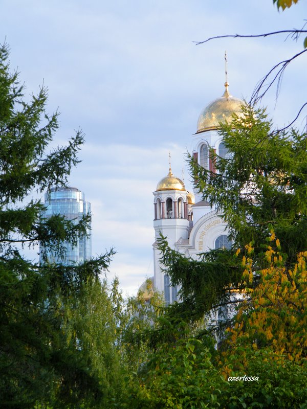 осень в городе - Альфия Музафарова