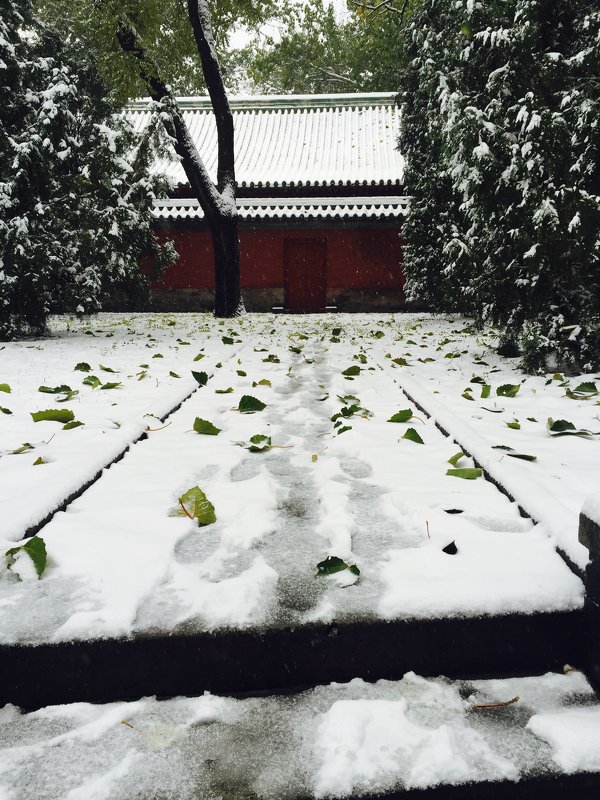 The first snow in Beijing - Shiva 