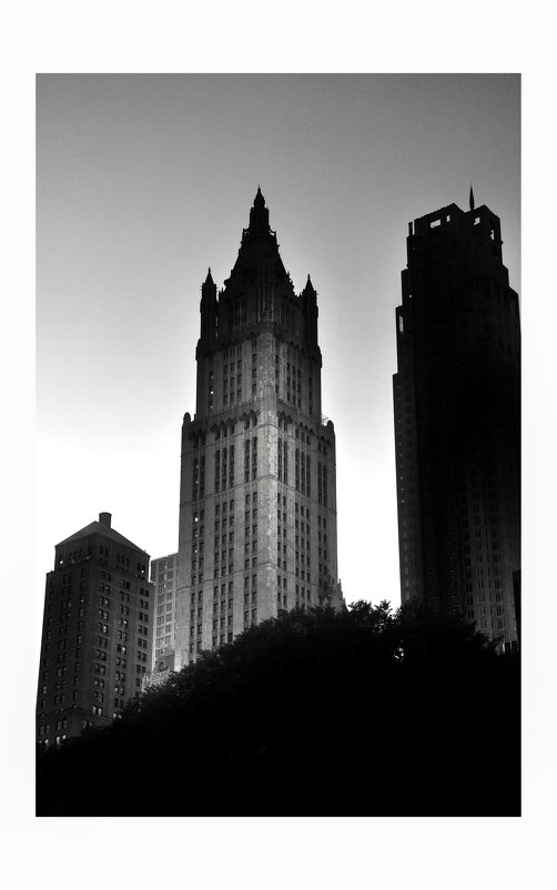 Woolworth Building - Алексей 