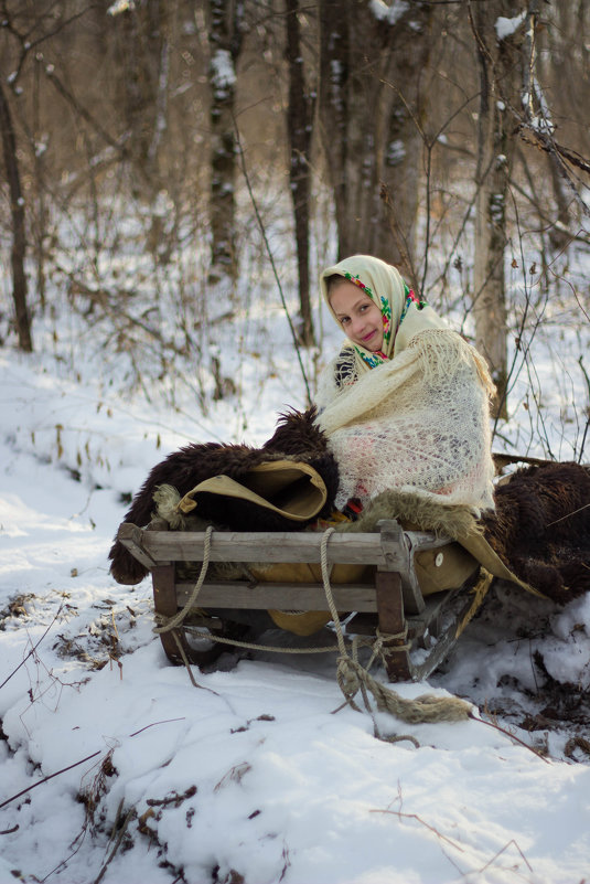 на санях - Tatyana Belova