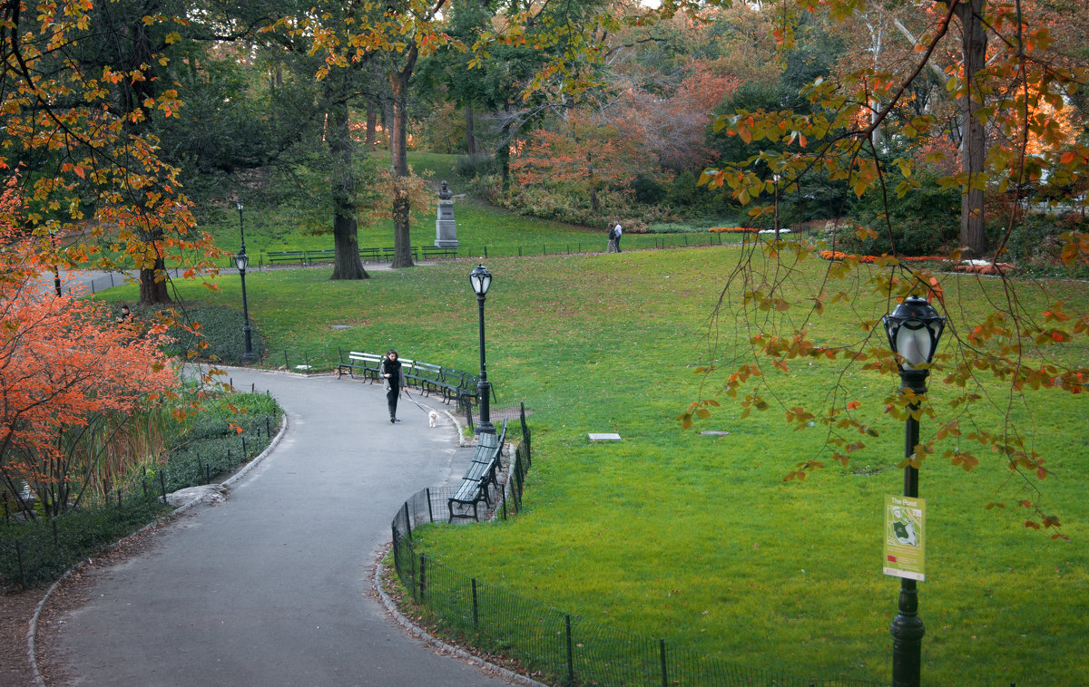 Утро в Центральном парке города Нью Йорк, США удалить редактировать - Виктор Скайбери