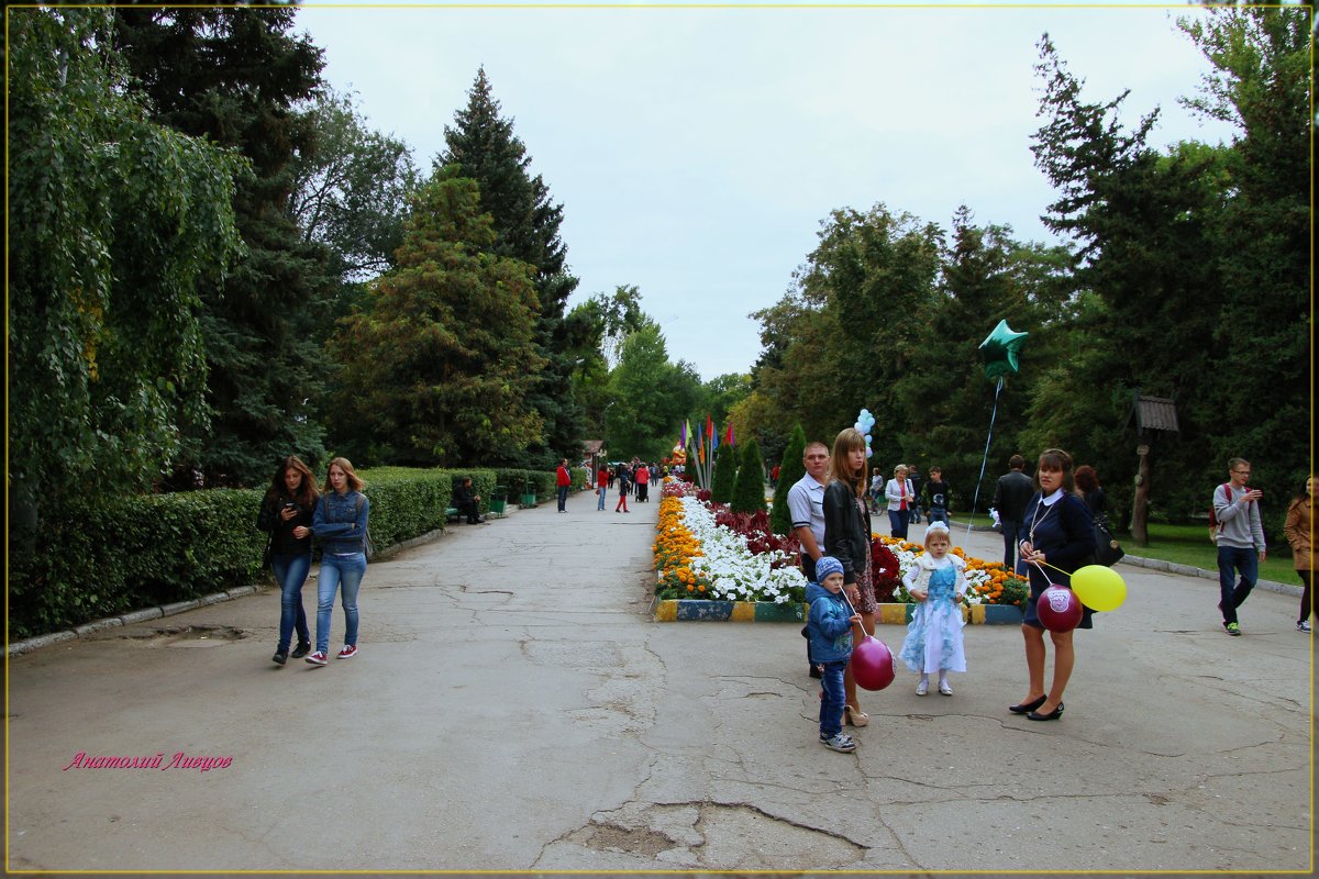 Центральная аллея городского парка. - Anatol L