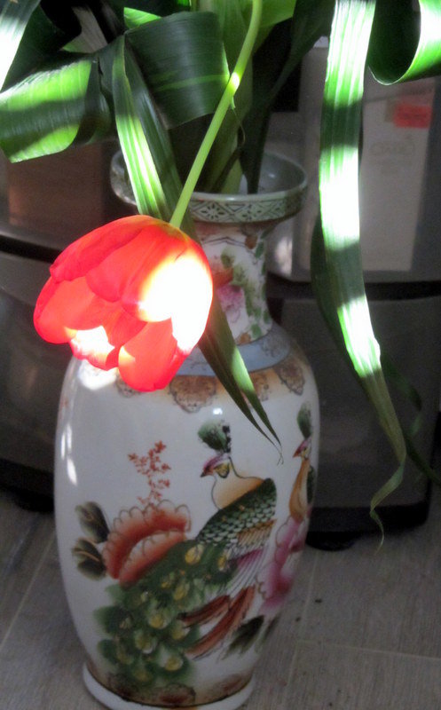 Тюльпан и утренний луч солнца - Герович Лилия 