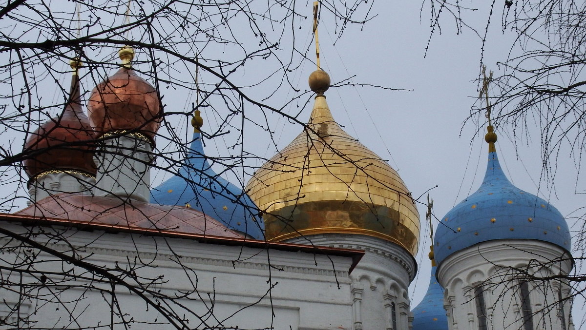 Купола Новоспасского монастыря.. - Лара ***