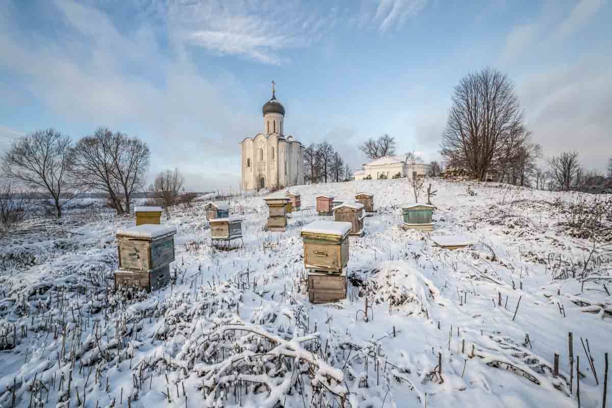 Покрова на Нерли - Оксана 