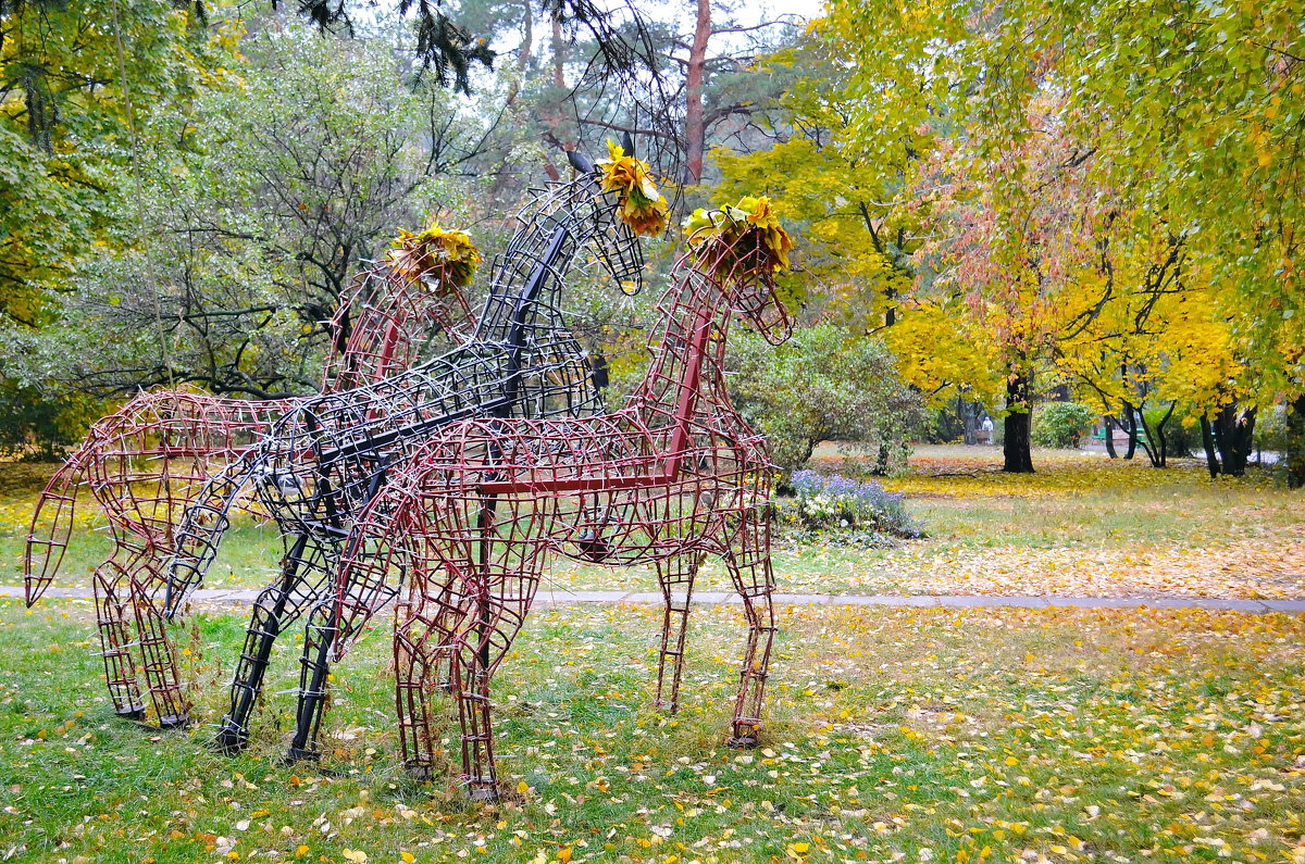 Оказывается, лошади, как и деревья, сбрасывают осенью одёжки! :-)) - Валентина Данилова
