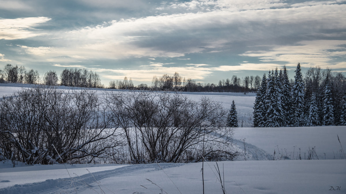 fields under snow - Марк Додонов