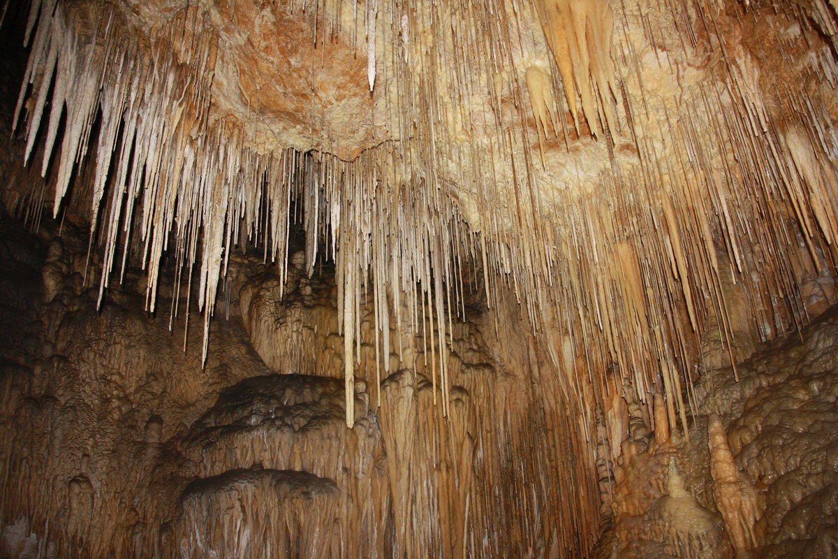 В пещере в Тасмании - Антонина 