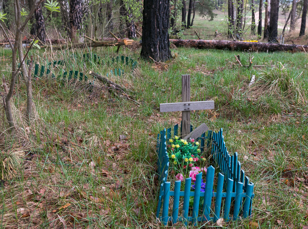 кладбище домашних животных - Евгений Поляков