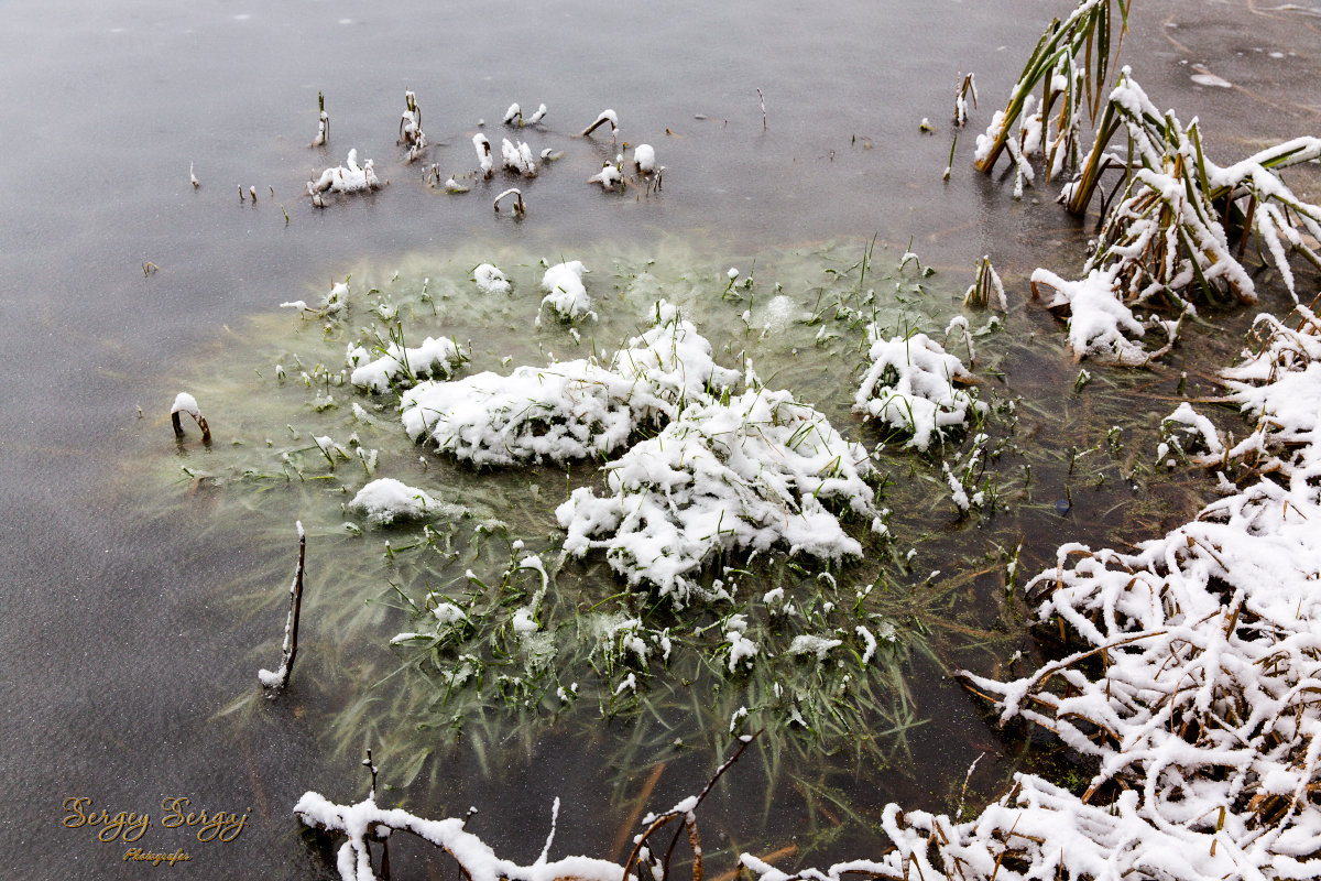 On the pond - Sergey Sergaj