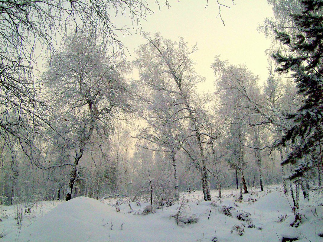 Зима в окресностях Иркутска - alemigun 