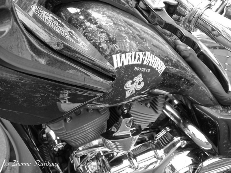 St.Petersburg Harley® Days в деталях... - Жанна Рафикова