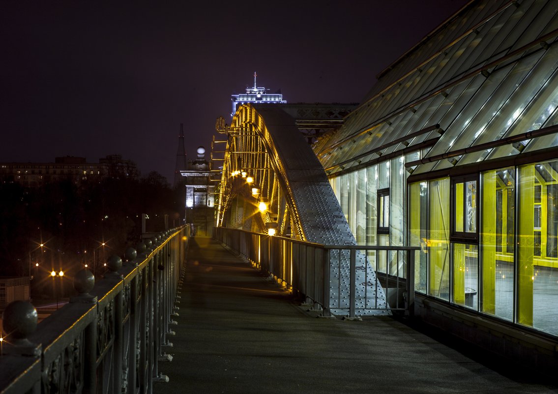 Андреевский мост - Евгения Ки