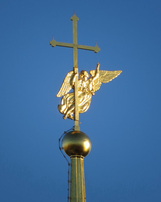 Ангел на Петропавловском соборе - Вера Щукина