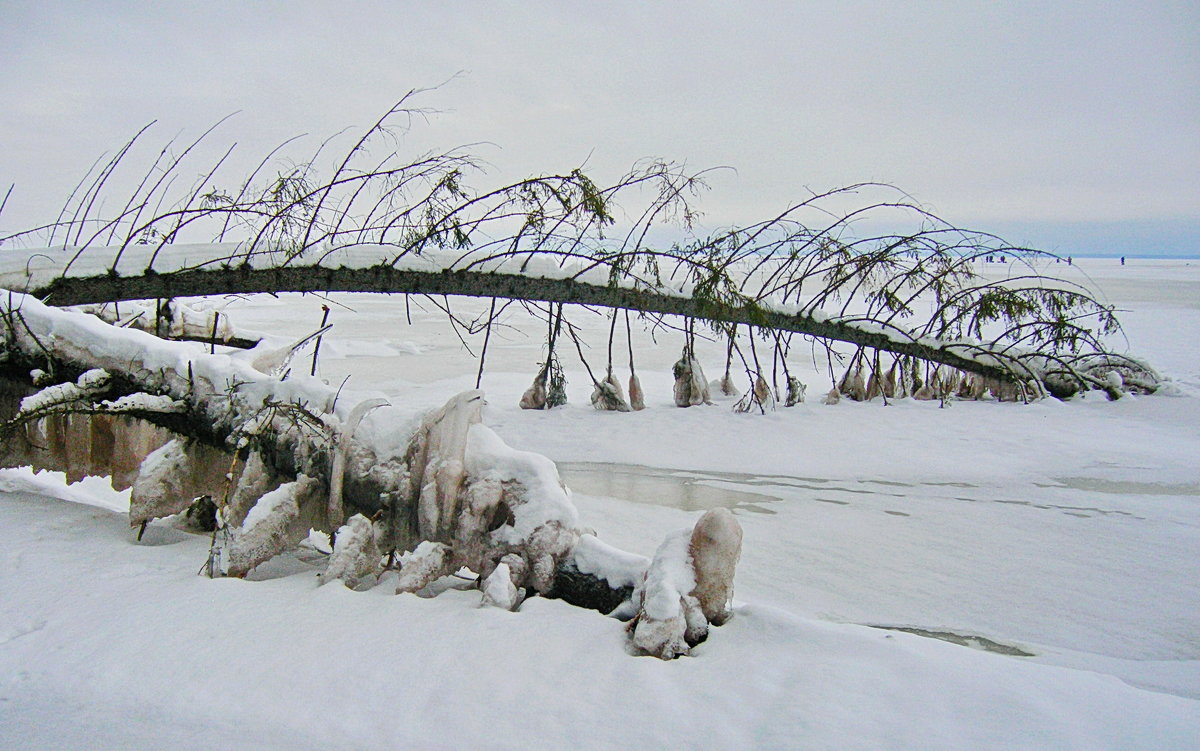 *** - val-isaew2010 Валерий Исаев