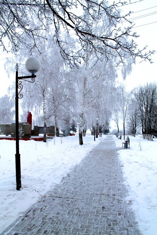 Зима в парке - Наталья Д