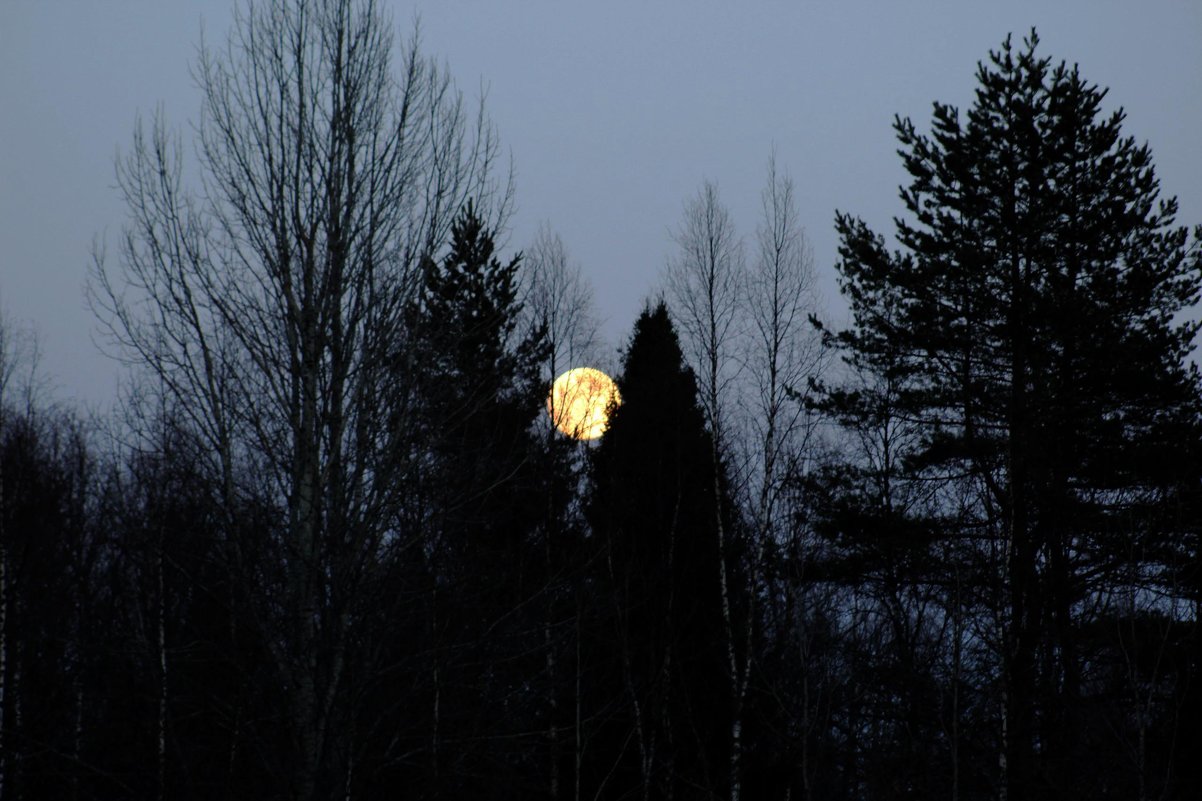 Луна, луна. - Андрей Скорняков