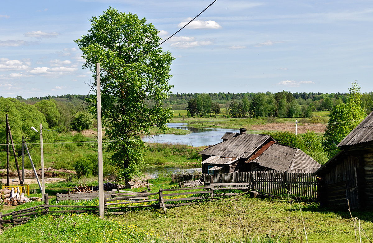 деревенский пейзаж - Galina 