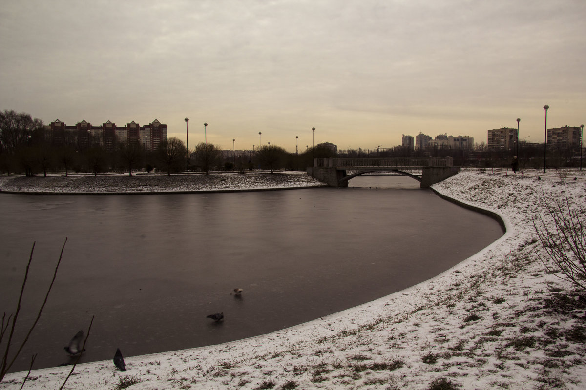 В декбре - Aнна Зарубина