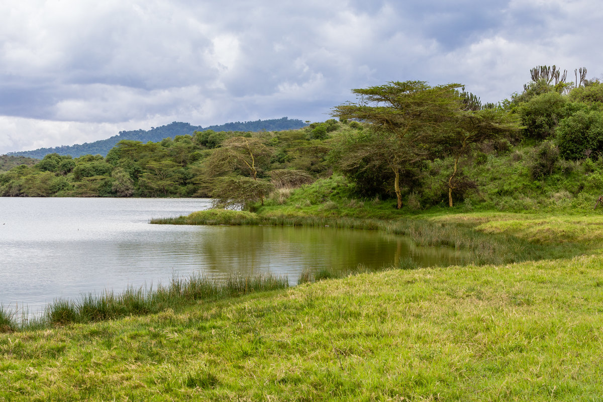 Озеро Момелла в парке Аруша (Танзания, декабрь 2015) - Сергей Андрейчук