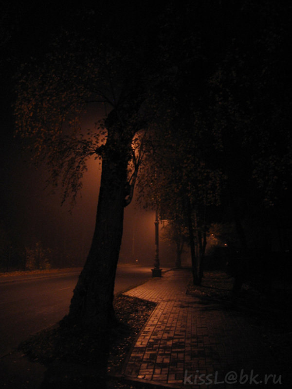 Туманный вечер.. - Elena N