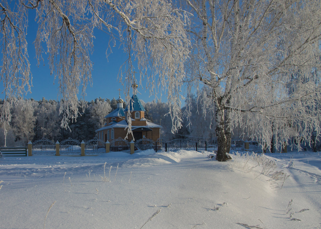 Зима пришла с морозами - Светлана Медведева 
